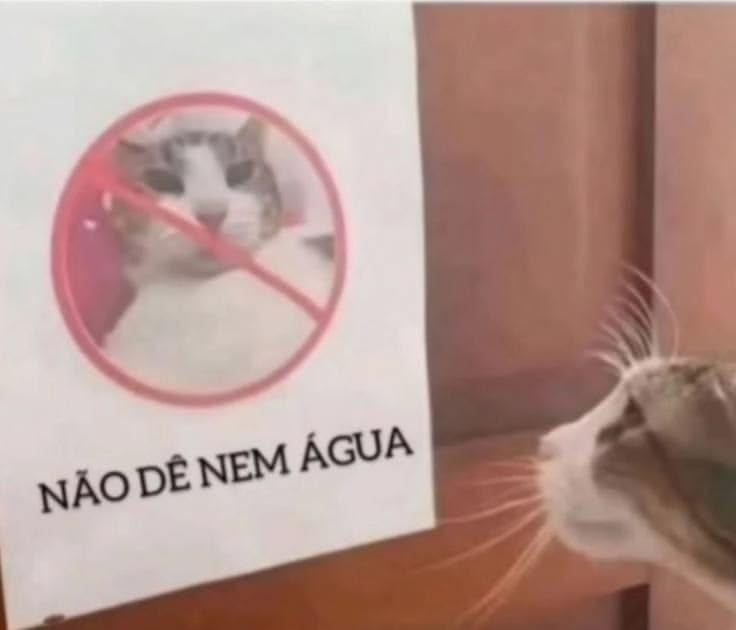 Meme