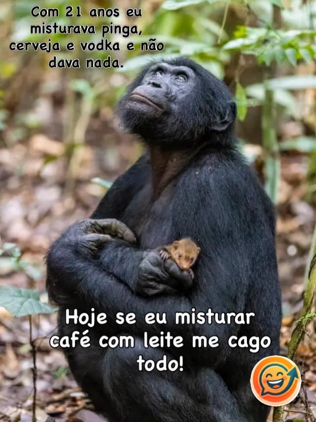 Meme